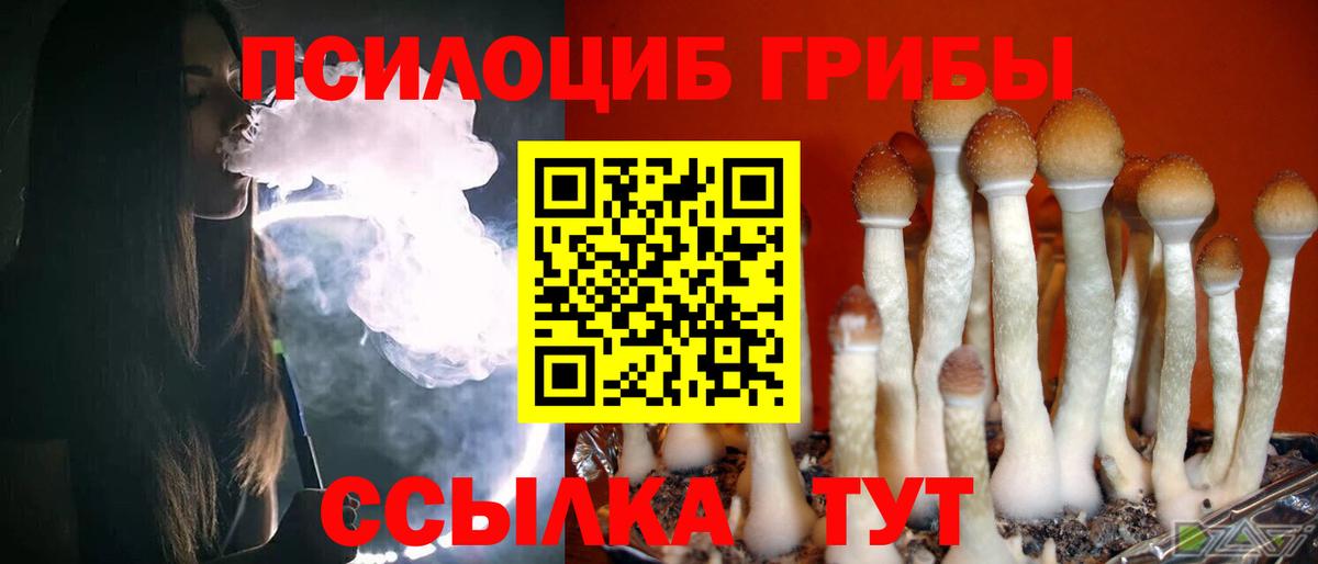 Галлюциногенные грибы Magic Shrooms  магазин продажи   Ростов Великий  Вход с VPN 