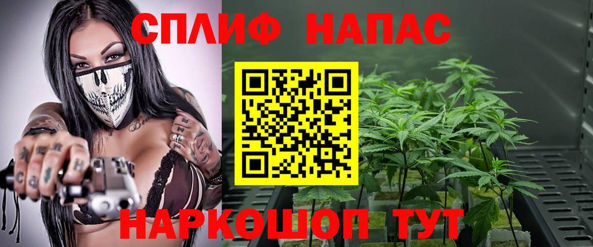 Бошки марихуана VHQ Ростов Великий